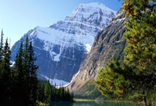 天涯论坛的神秘任务兼职，真的在赚钱吗？